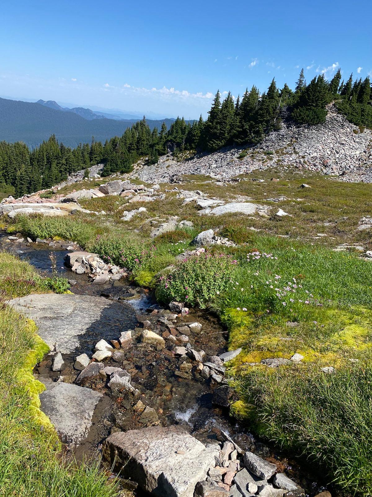 Spray Park stream