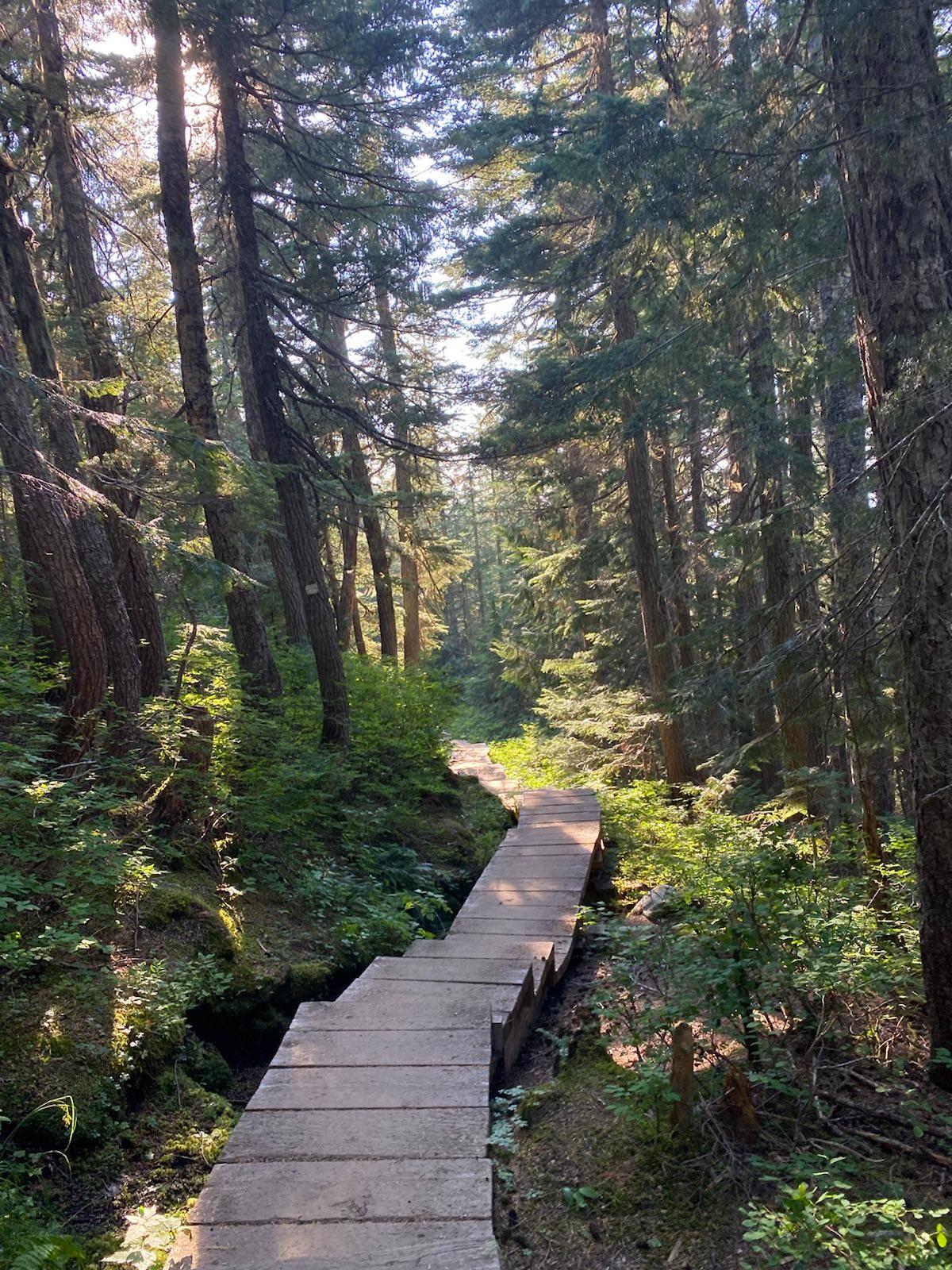 wood steps
