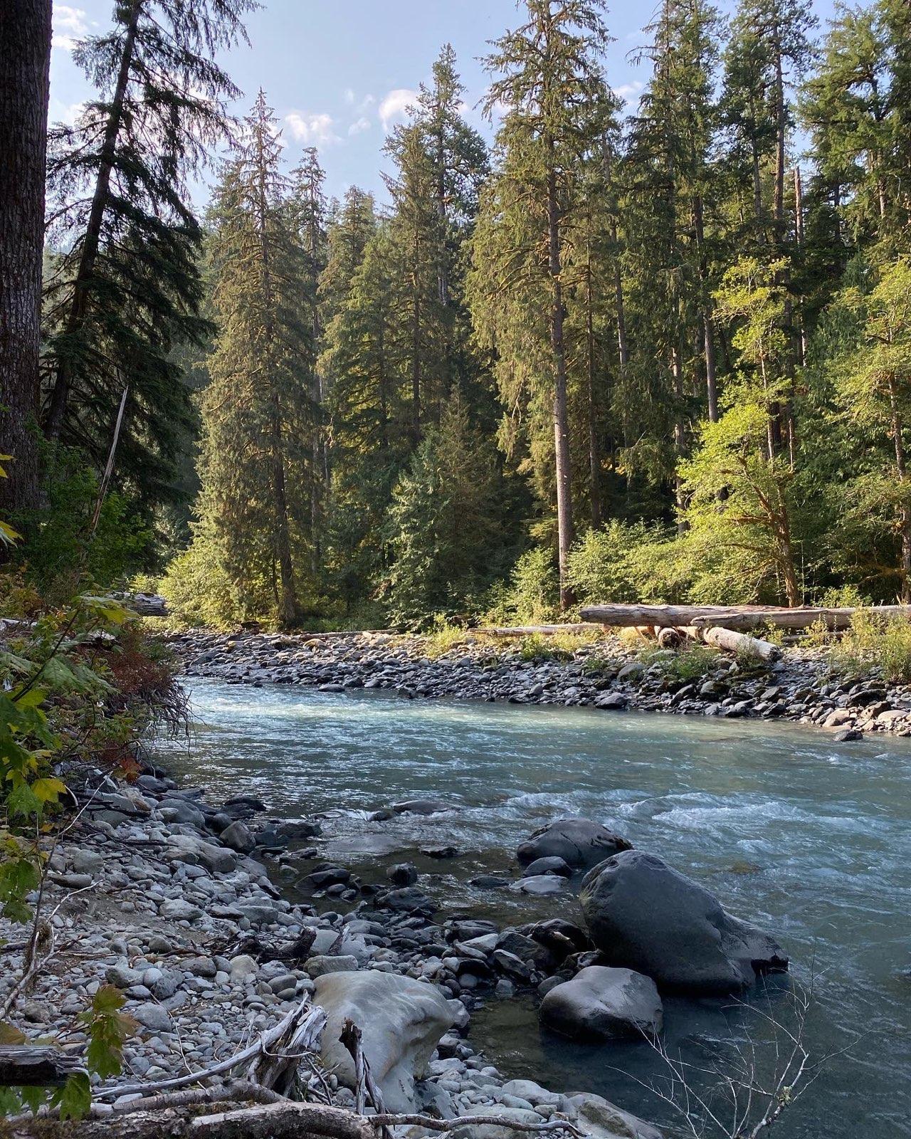 Hoh River